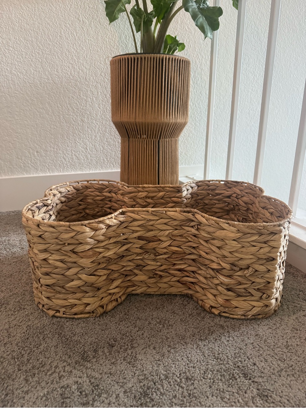 Handwoven Natural Seagrass Decorative Pet Basket 🦴 🧺